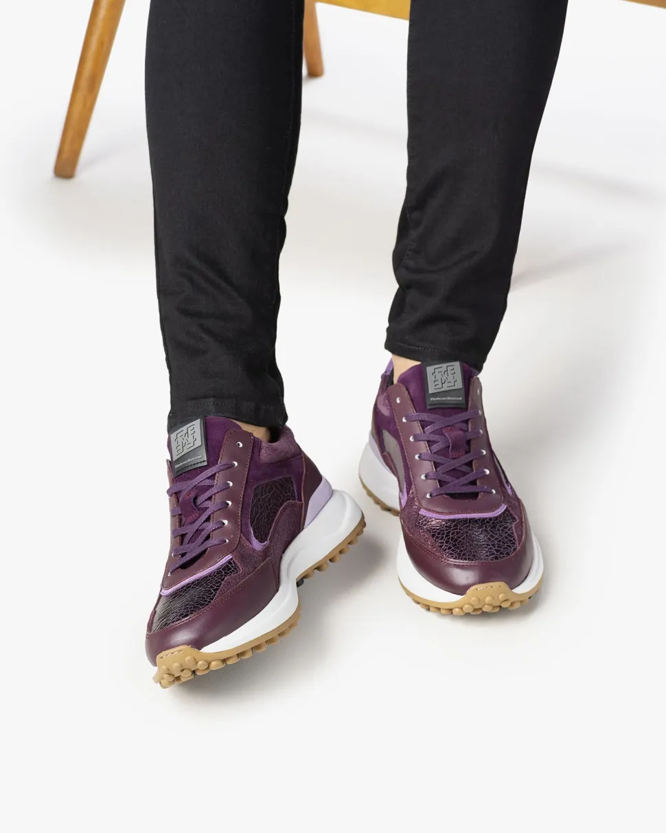 Sneaker>Floris van Bommel Noppi 19.11 Violett