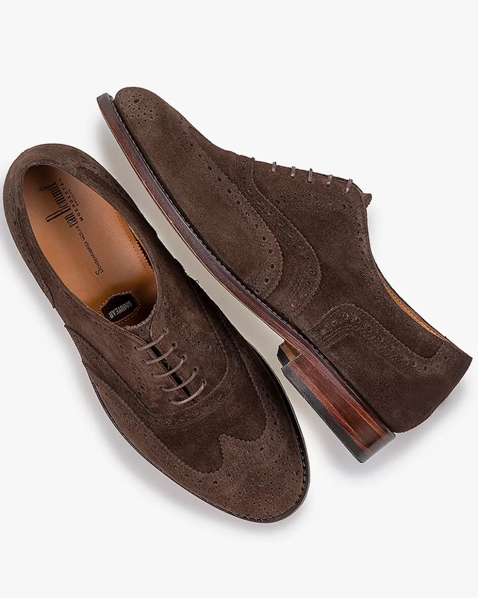Brogues | Schnürer>Floris van Bommel Olda 04.11 Dunkelbraun